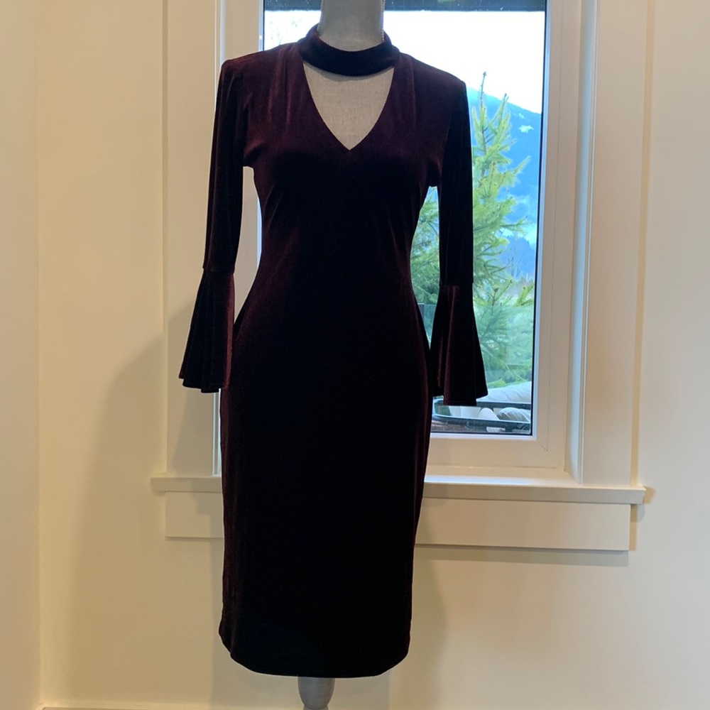 Wine velvet Eliza J dress